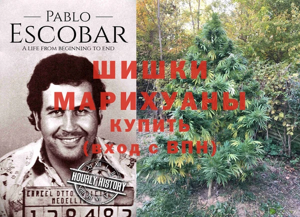 твердый Краснослободск