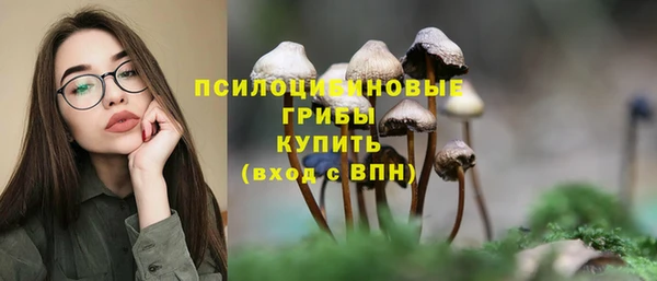 крисы Костерёво