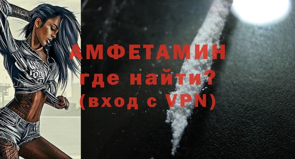 твердый Краснослободск