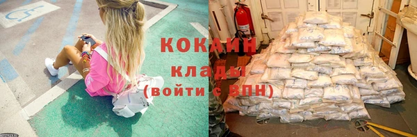 крисы Костерёво
